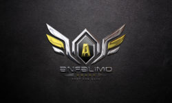 AnfaLimo Logo